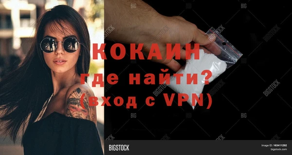 молекула духа Арсеньев