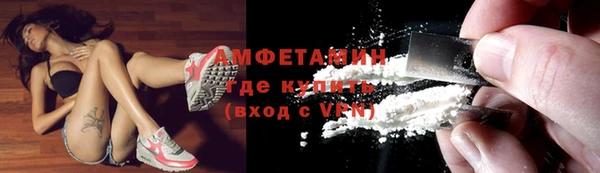 молекула духа Арсеньев