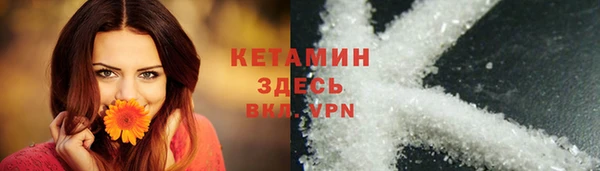 молекула духа Арсеньев