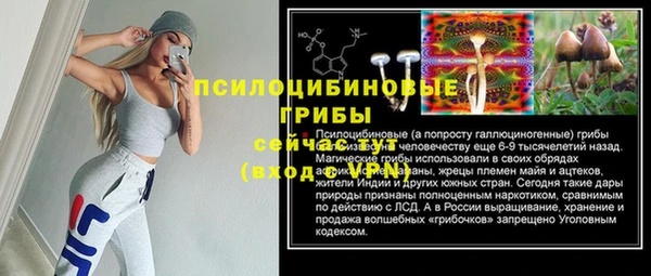 молекула духа Арсеньев