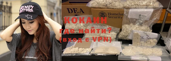 молекула духа Арсеньев