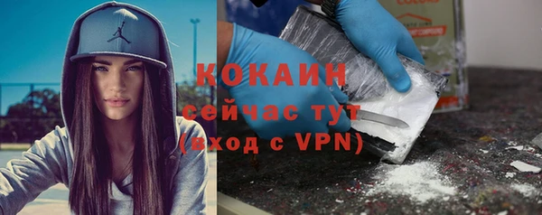 молекула духа Арсеньев