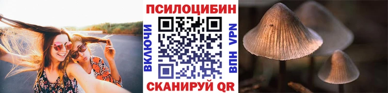 Псилоцибиновые грибы Cubensis Изобильный